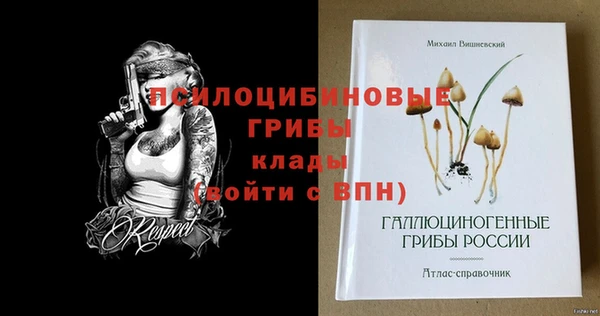 герыч Алзамай